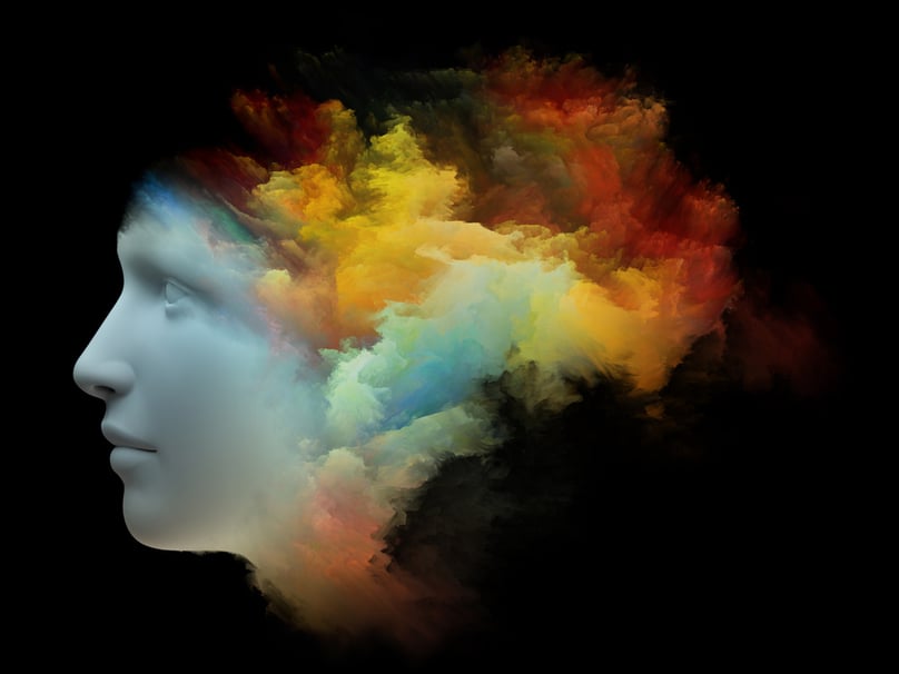 lsd in the brain