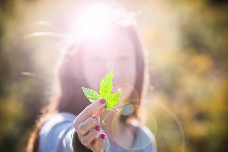Cannabis and Memory Loss